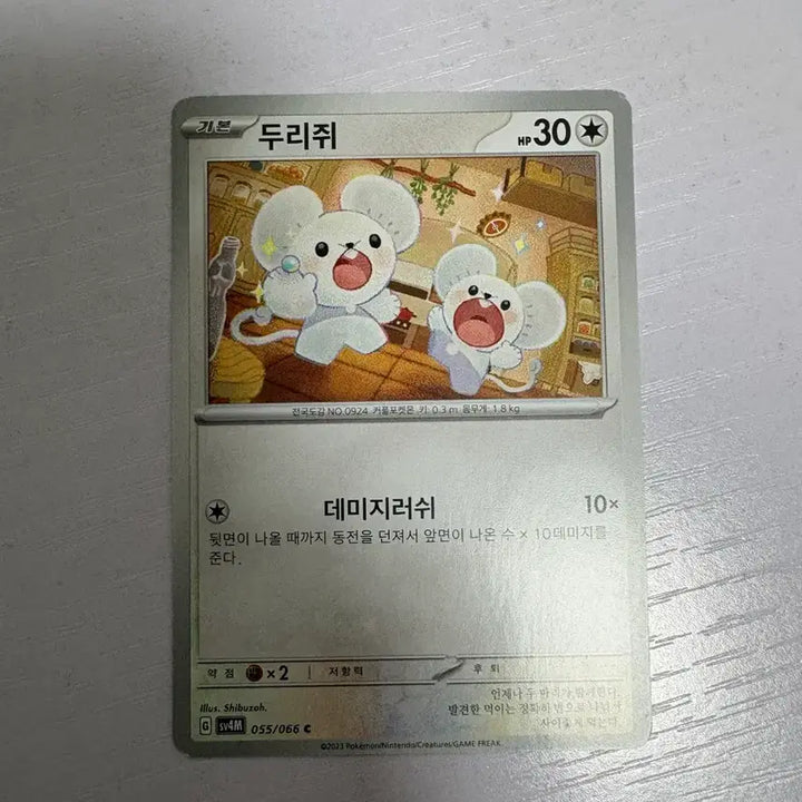 [BUNJANG] Pokemon Drizzile Collectible Card / [귀여운 포켓몬 카드] 두리쥐