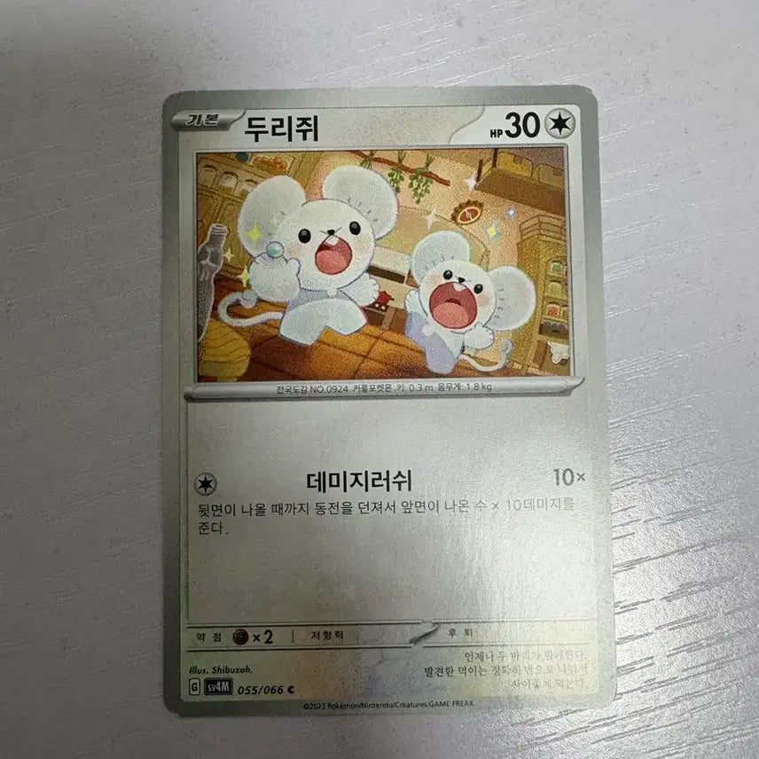 [BUNJANG] Pokemon Drizzile Collectible Card / [귀여운 포켓몬 카드] 두리쥐