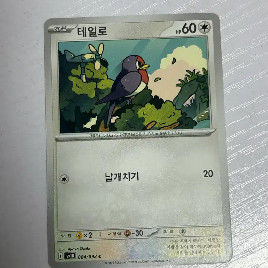 [BUNJANG] Pokemon Tailo Trading Card / [귀여운 포켓몬 카드] 테일로