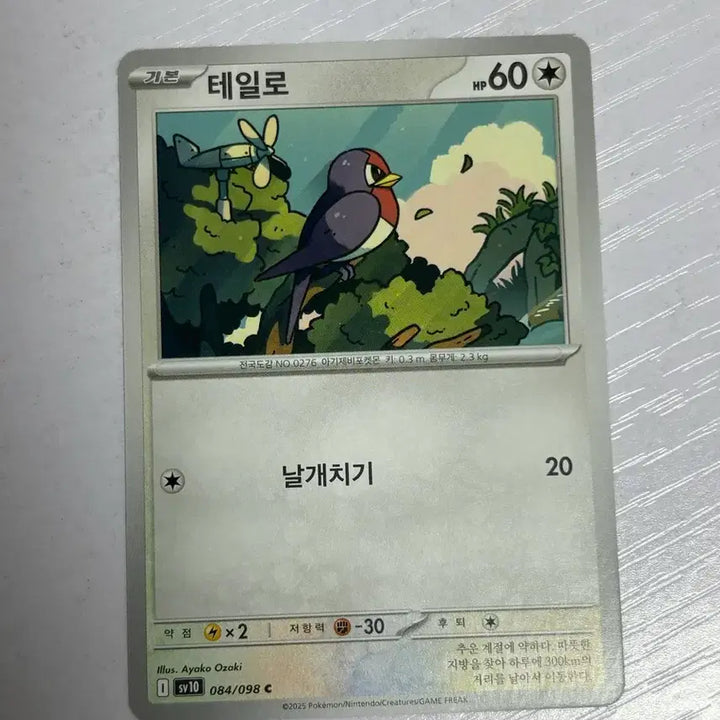 [BUNJANG] Pokemon Tailo Trading Card / [귀여운 포켓몬 카드] 테일로