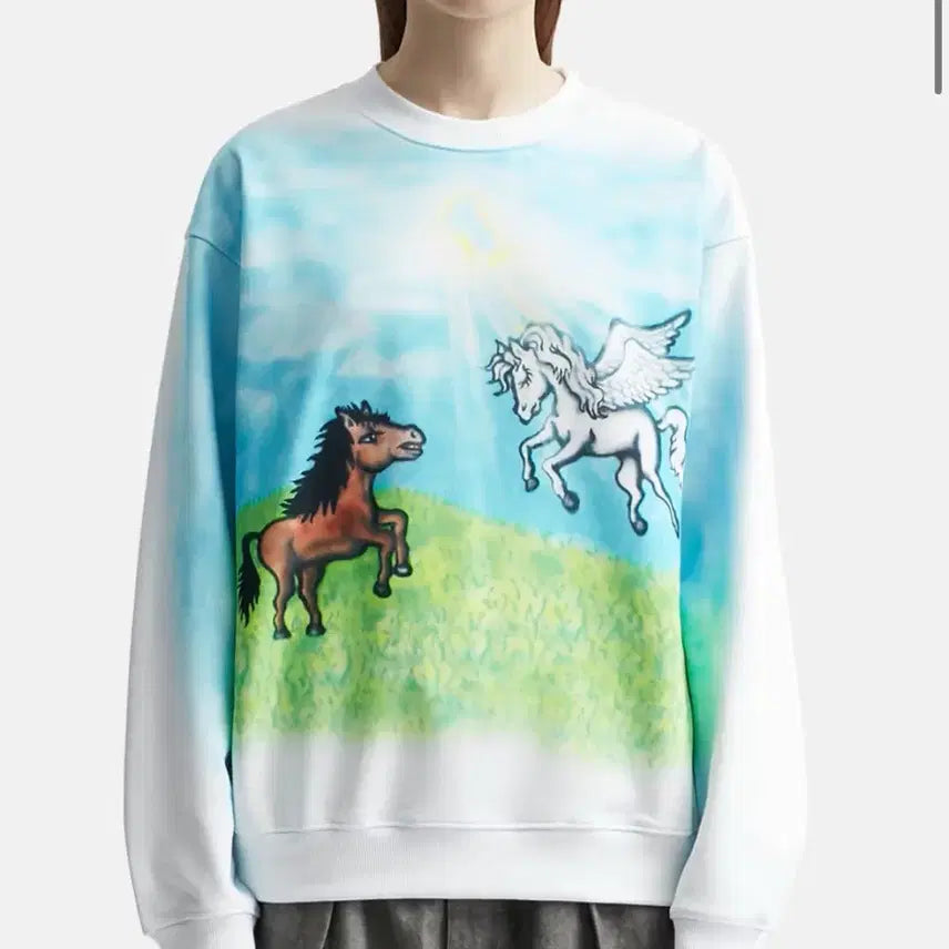 [BUNJANG] Sky High Farm Ally Sweatshirt / M) Sky high farm ally 스웻셔츠