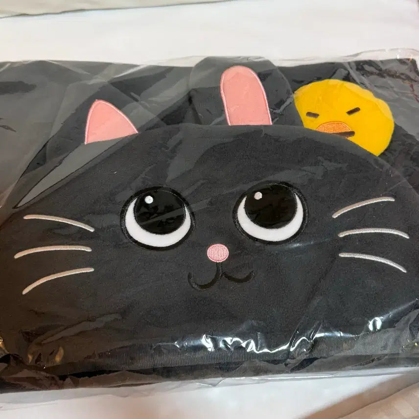 [BUNJANG] RIIZE Wonbin Blanket MD / 라이즈 앙콘 엠디 담요 원빈 토냥덕 blanket MD