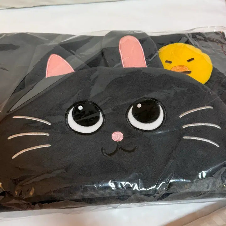[BUNJANG] RIIZE Wonbin Blanket MD / 라이즈 앙콘 엠디 담요 원빈 토냥덕 blanket MD