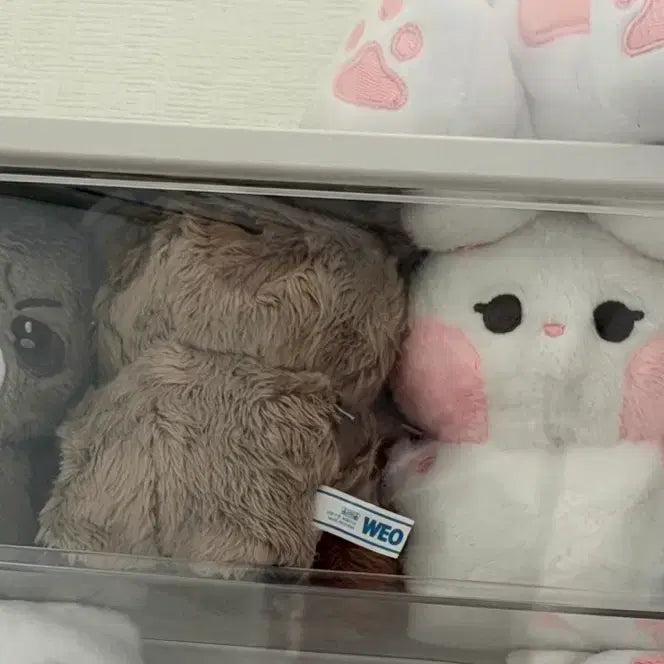 [BUNJANG] Seventeen S.Coups Jeonghan Seungcheol Doll Bundle Set / 세븐틴 에스쿱스 정한 승구리 쫑토끼 라쿱 10cm 콩하니볼