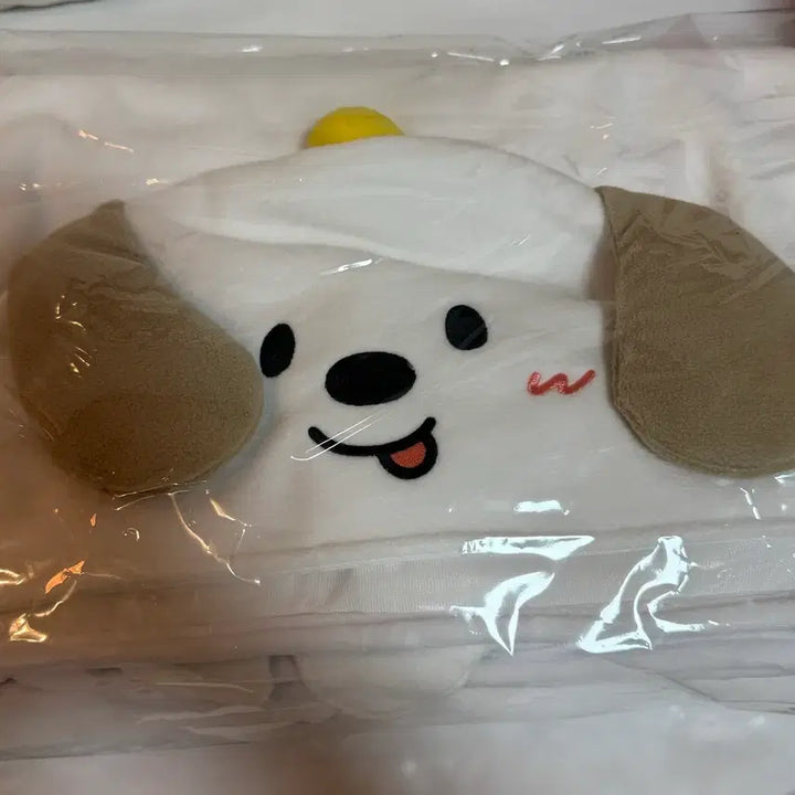 [BUNJANG] RIIZE Anton Mungryong Blanket MD / 라이즈 앙콘 엠디 담요 앤톤 멍룡이 blanket MD