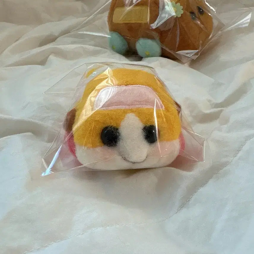 [BUNJANG] Pui Pui Molcar Potato Plush Doll / 뿌이뿌이 모루카 포테토 인형