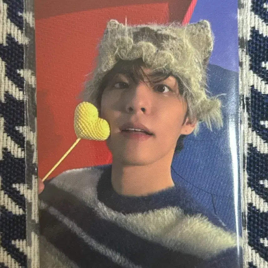 [BUNJANG] DAY6 Wonpil The Present Photocard / 데이식스 더 프레젠트 금액포카 원필