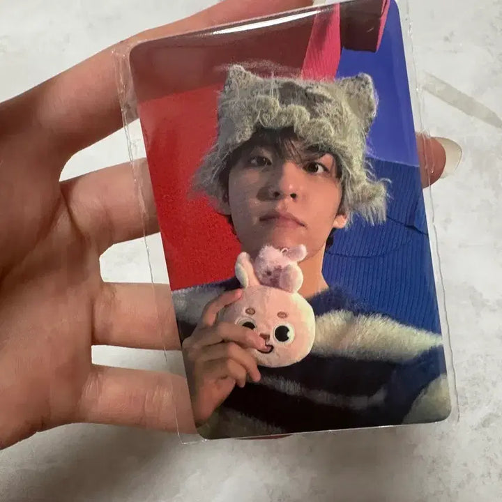 [BUNJANG] Day6 2025 Online Concert Photocard / 데이식스 2025 클콘 온라인 5만원 포카 판매 최저가 !