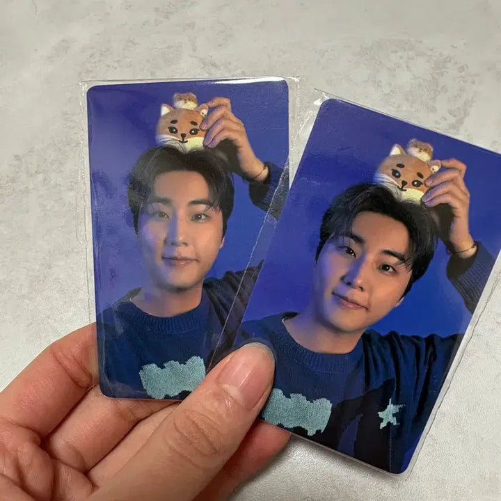 [BUNJANG] DAY6 2025 Online Concert Photocard / 데이식스 2025 클콘 온라인 5만원 포카 판매 영케이 영현 최저가 !!