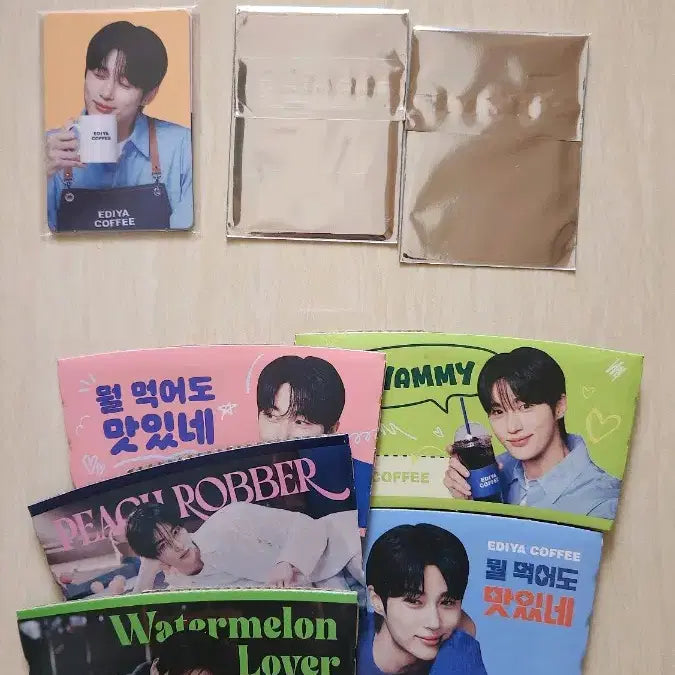 [SOLD OUT] 변우석 (미개봉)이디야포터카드일괄