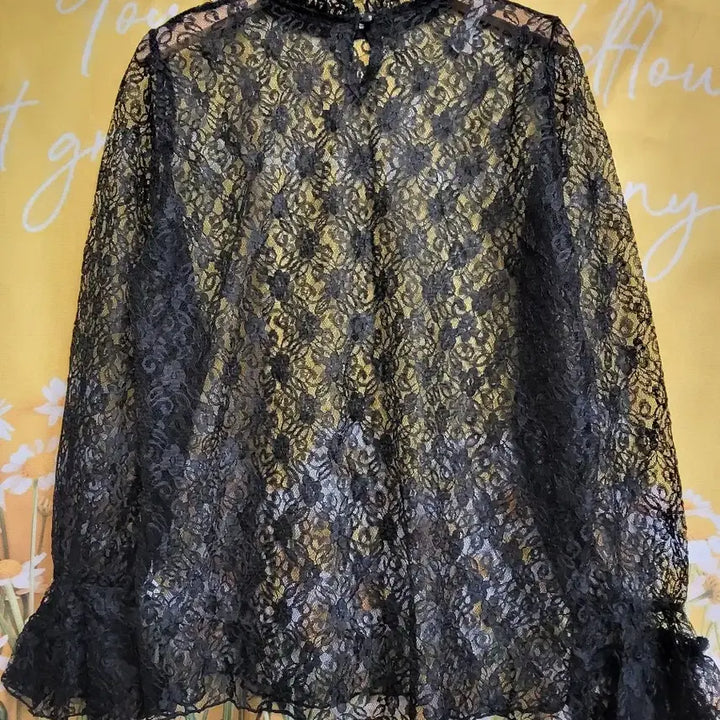 [BUNJANG] JVIM Black Lace See-Through Blouse / JVIM 블랙 레이스 시스루 블라우스F