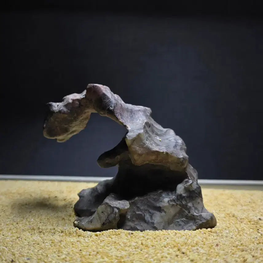 [BUNJANG] Xinjiang Natural Desert Stone / 신장 자연 사막석 (수석)