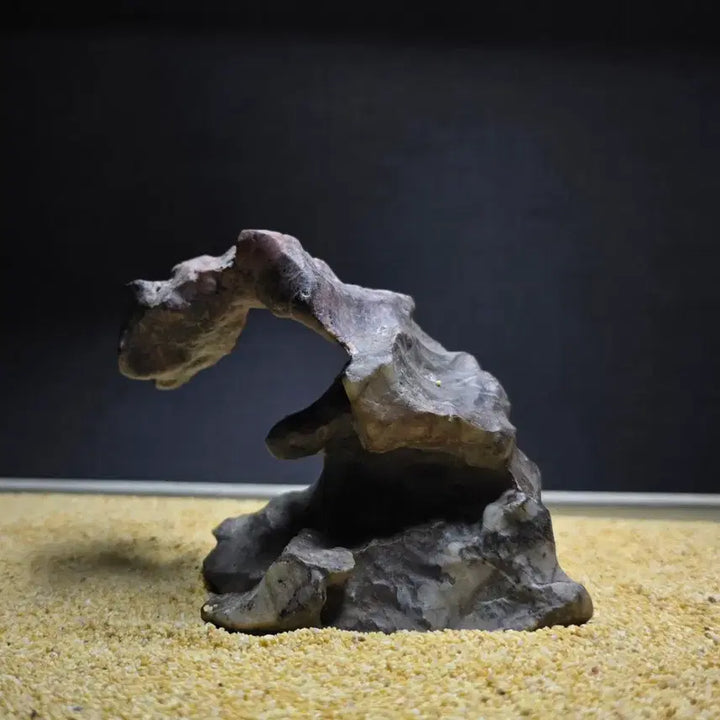 [BUNJANG] Xinjiang Natural Desert Stone / 신장 자연 사막석 (수석)
