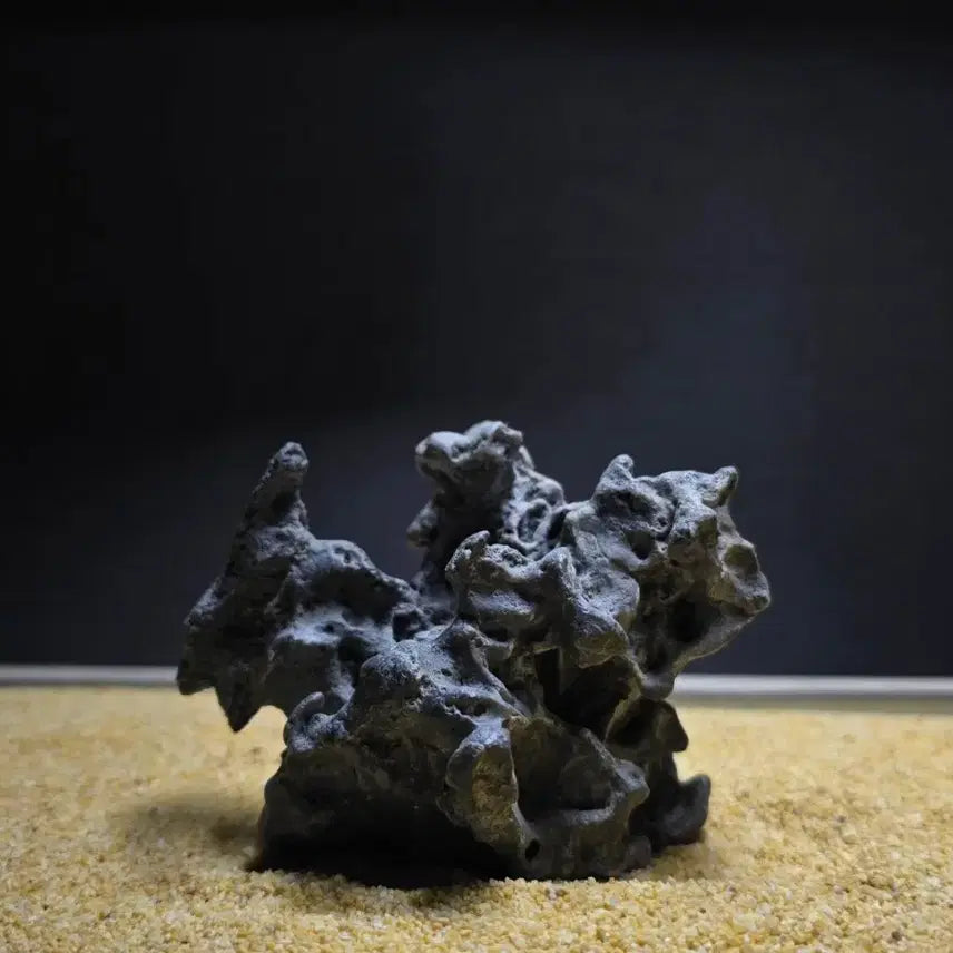[BUNJANG] Desert Stone / 사막 수석