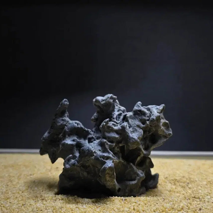 [BUNJANG] Desert Stone / 사막 수석