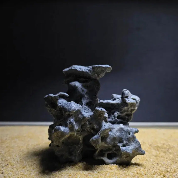 [BUNJANG] Desert Stone / 사막 수석