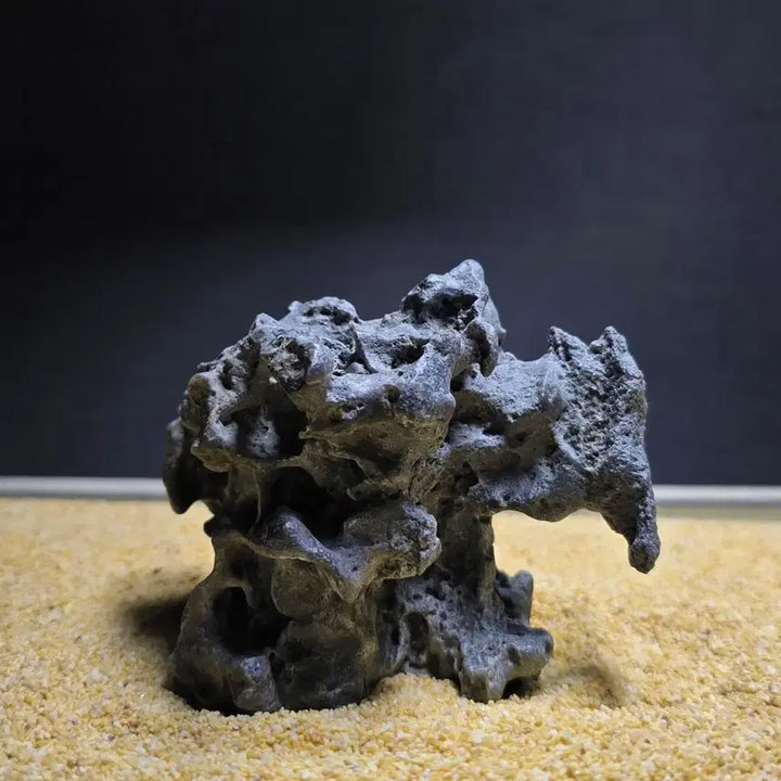 [BUNJANG] Desert Stone / 사막 수석