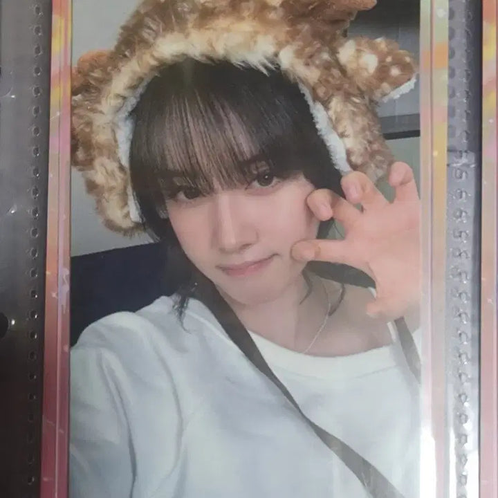[BUNJANG] STAYC Yoon BEBE POB Photocard / [판매] 스테이씨 윤 베베 공방포카