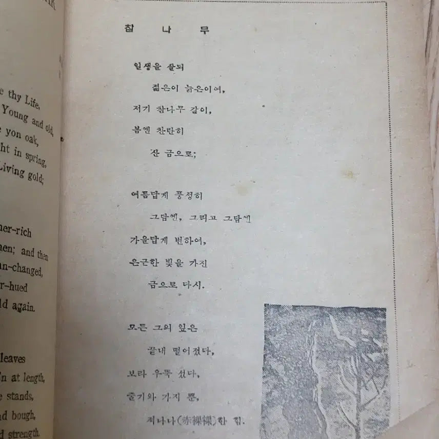 [BUNJANG] Yunhaksa High School English Textbook (1955) / 1955년도 고교영어 교과서 (윤학사)