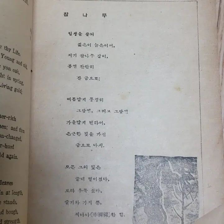 [BUNJANG] Yunhaksa High School English Textbook (1955) / 1955년도 고교영어 교과서 (윤학사)