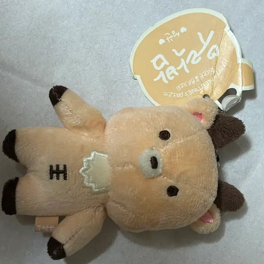 [BUNJANG] RIIZE Shotaro 1st Fanclub Urakbam Doll / 라이즈 성찬 1기 우락밤 인형 양도