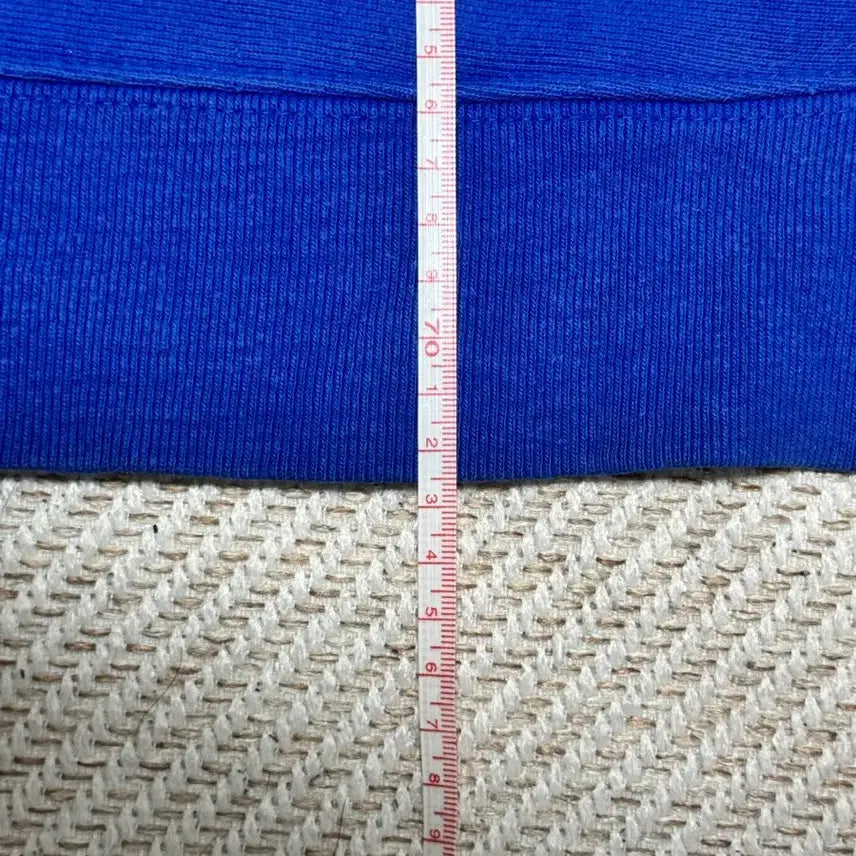 [BUNJANG] Champion Reverse Weave Sweatshirt (L) / 챔피온 리버스위브 맨투맨(L)
