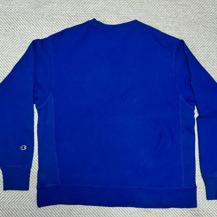 [BUNJANG] Champion Reverse Weave Sweatshirt (L) / 챔피온 리버스위브 맨투맨(L)