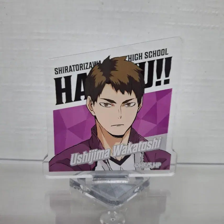 [BUNJANG] Haikyuu Ushijima Wakatoshi Acrylic Stand / 단순전시) 하이큐 우시지마 와카토시 아크릴 스탠드
