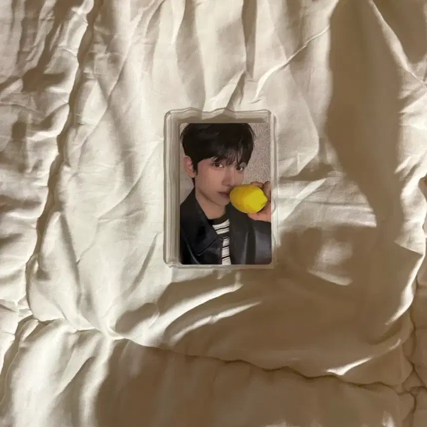 [BUNJANG] Park Junil Shanghai Photocard / 박준일 상하이 포카 팝니다