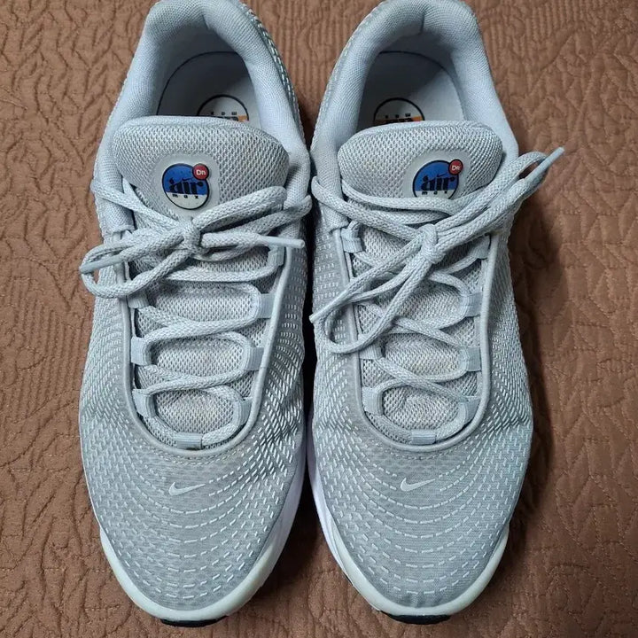 [BUNJANG] Nike Air Max DN Hyper Royal Sneakers / 285 나이키 에어맥스 DN 하이퍼로얄 운동화 [3042]