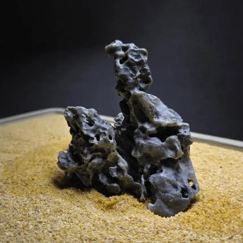 [BUNJANG] Natural Stone / 수석
