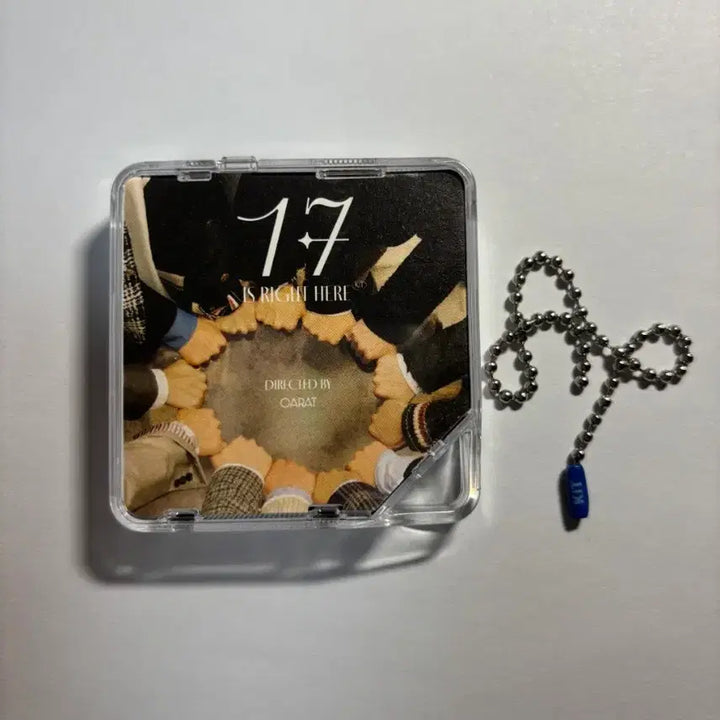 [BUNJANG] Seventeen 17 Is Right Here Album Keyring / 세븐틴 17 is right here 키링 앨범
