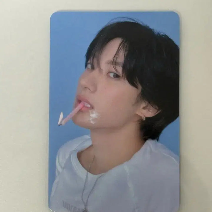 [SOLD OUT] 앤톤 2026 시그 트레카 B버전