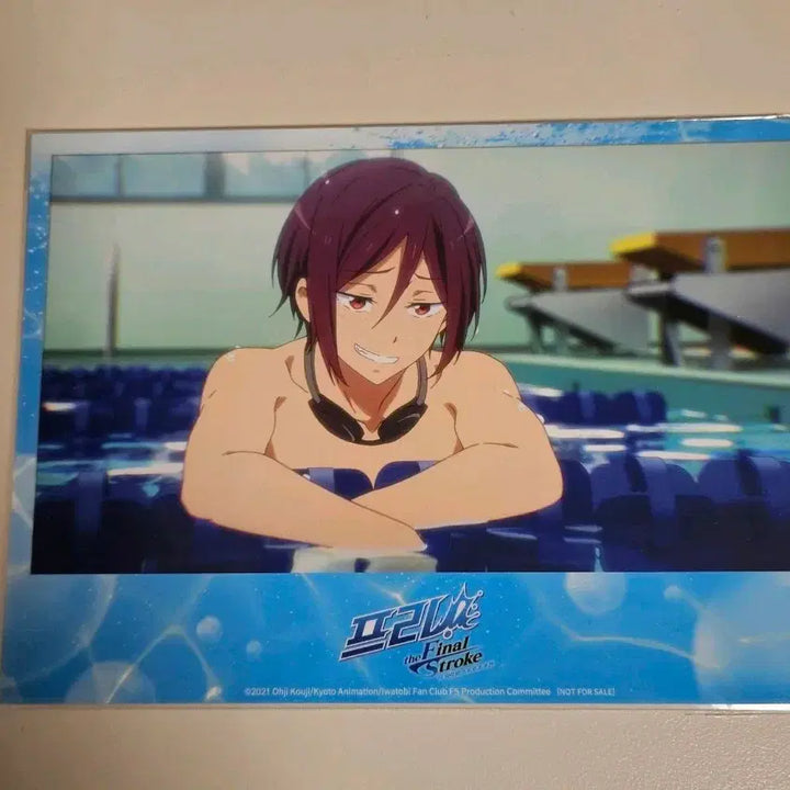 [BUNJANG] Free! Aniplex POB / Free! 프리! 애니플러스 특전