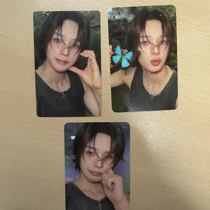 [BUNJANG] ENHYPEN K Back to Love Photocard / 앤팀 케이 백투라 포카