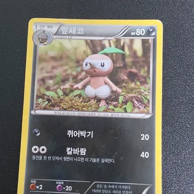 [BUNJANG] Pokemon Leafeon XY9 Card / 포켓몬 카드 잎새코 xy9