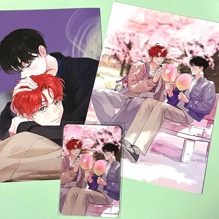 [SOLD OUT] [BUNJANG] Dreamy Postcard Photocard Bundle Set / 꿈자리가 이상한데요 엽서 포토카드 포카 부적 프박 일괄