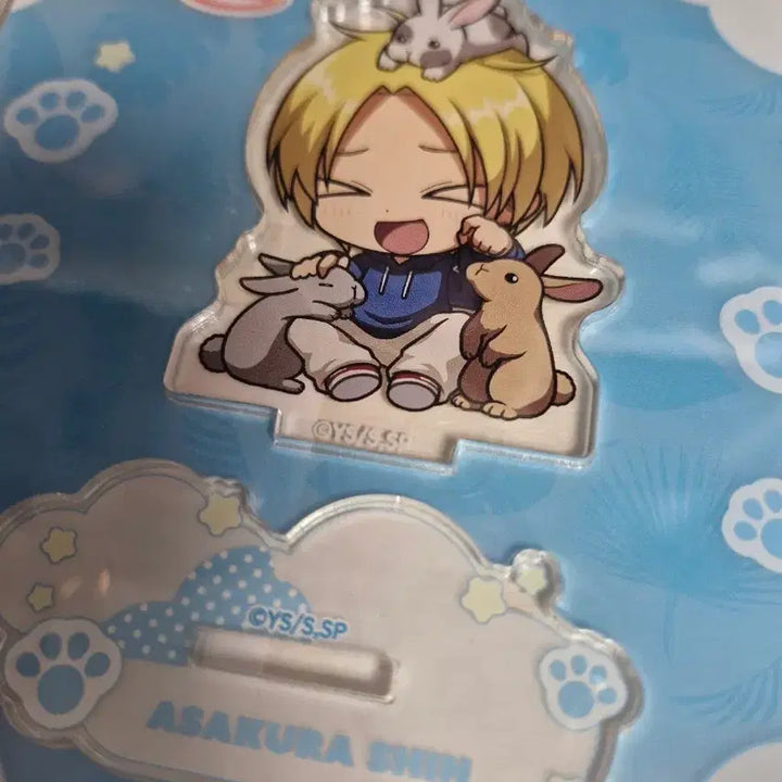 [BUNJANG] Sakaday Asakura Shin Tobu Zoo Acrylic Stand / 사카데이 사카모토데이즈 아사쿠라 신 도부동물원 콜라보 아크릴스탠드