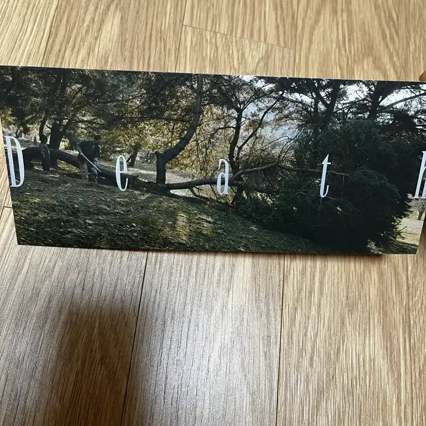 [BUNJANG] Really Far Away Postcard Set / 영화굿즈 정말 먼 곳 엽서 세트