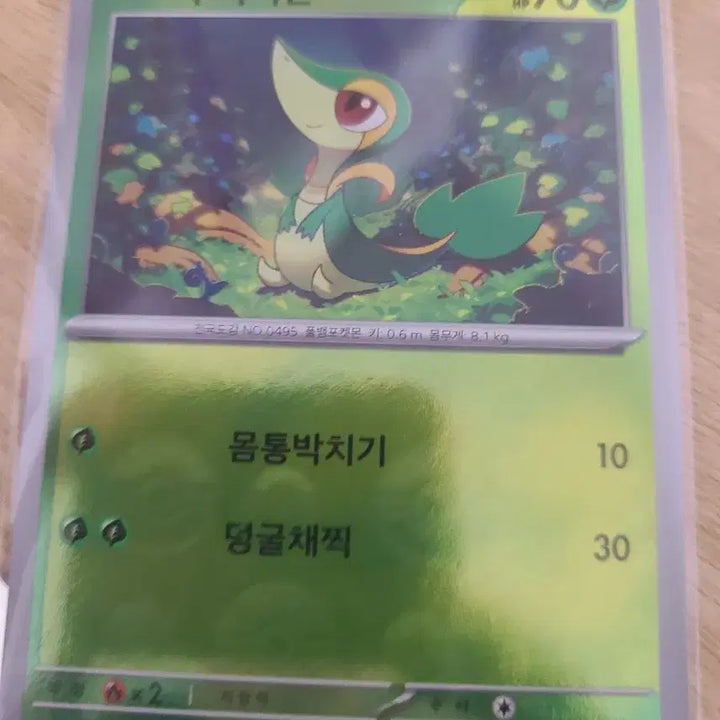 [BUNJANG] Pokemon Monster Ball Card Set / 포켓몬카드 몬스터볼 12장 세트입니다