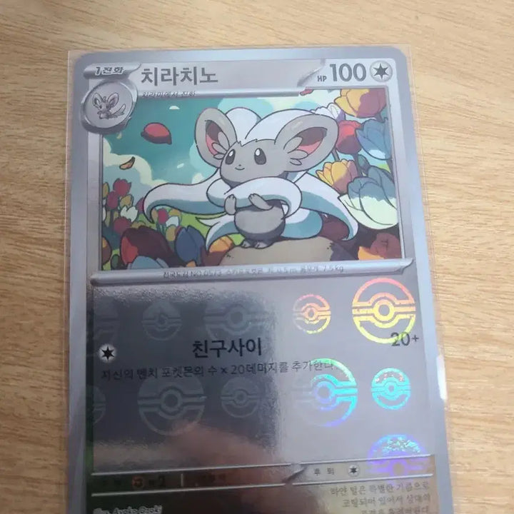 [BUNJANG] Pokemon Monster Ball Card Set / 포켓몬카드 몬스터볼 12장 세트입니다