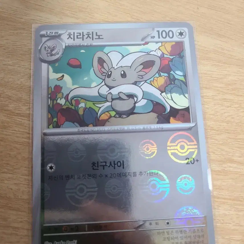 [BUNJANG] Pokemon Monster Ball Card Set / 포켓몬카드 몬스터볼 12장 세트입니다