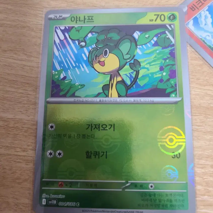 [BUNJANG] Pokemon Monster Ball Card Set / 포켓몬카드 몬스터볼 12장 세트입니다