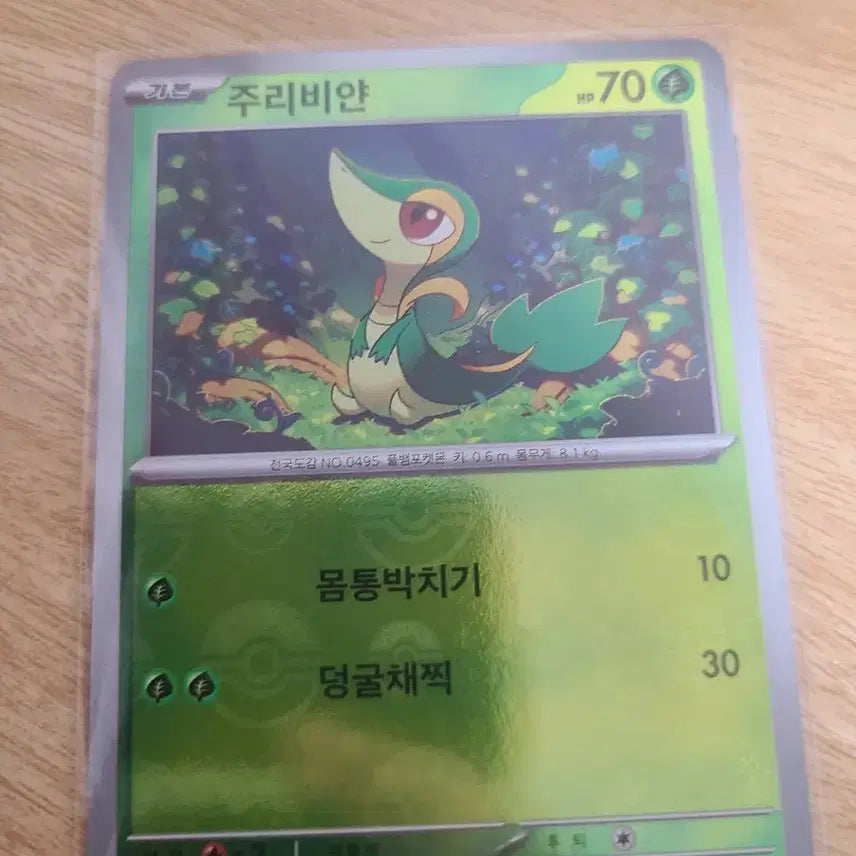 [BUNJANG] Pokemon Monster Ball Card Set / 포켓몬카드 몬스터볼 12장 세트입니다