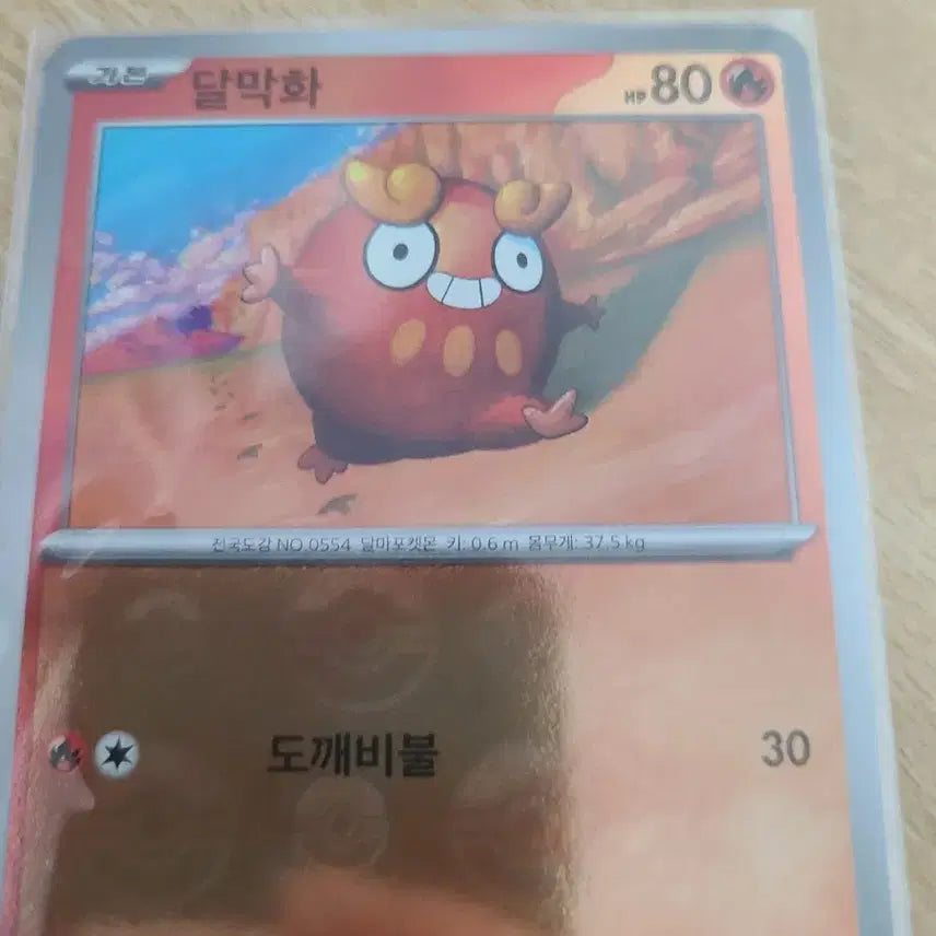 [BUNJANG] Pokemon Monster Ball Card Set / 포켓몬카드 몬스터볼 12장 세트입니다
