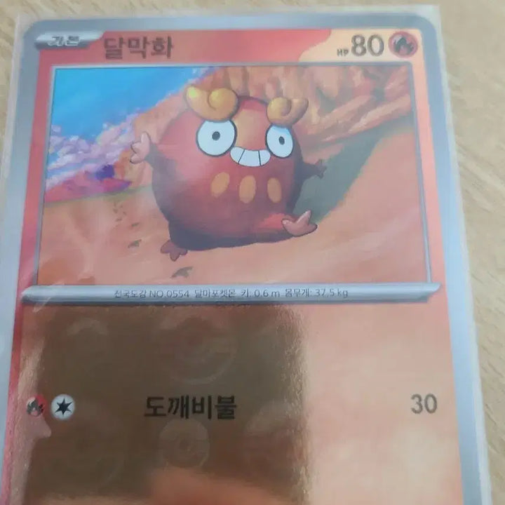 [BUNJANG] Pokemon Monster Ball Card Set / 포켓몬카드 몬스터볼 12장 세트입니다