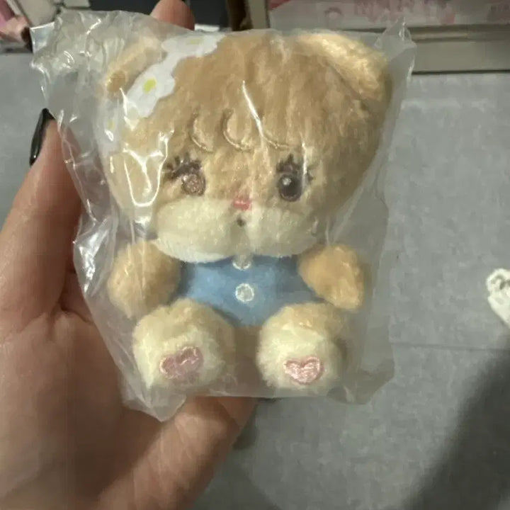 [SOLD OUT] 미코 라떼