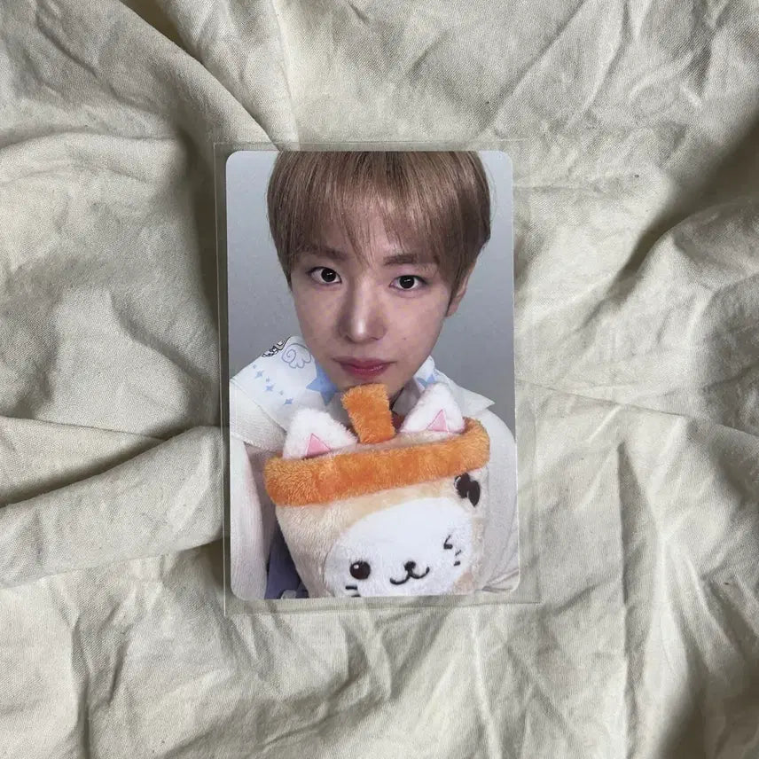 [BUNJANG] NCT WISH Yushi POB Photocard / 엔시티 위시 유우시 포카 베이커리 특전 포토카드