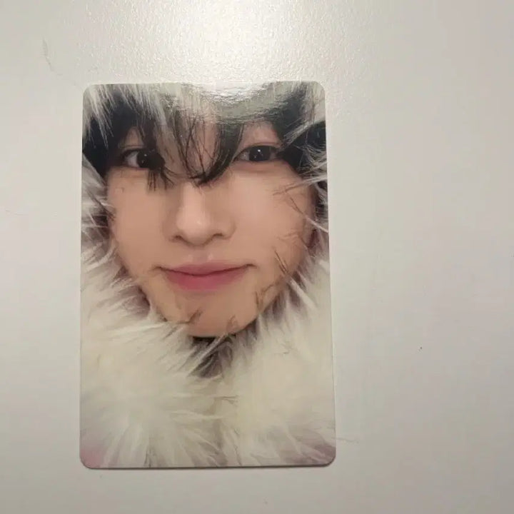[BUNJANG] NCT WISH Sakuya Color Photocard / 엔시티 위시 사쿠야 컬러 포카