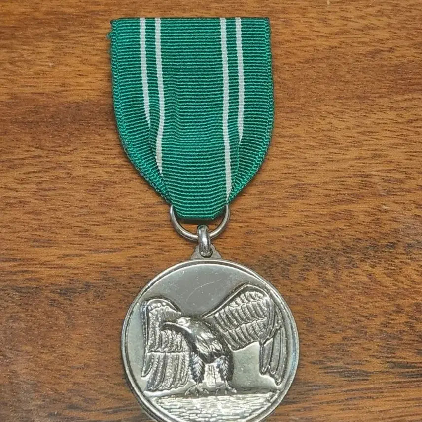 [BUNJANG] Korean Modern History Anti-Guerrilla Operation Commemoration Medal / 군사자료 한국근대사 무장공기 토벌 기장 무장공비 토벌 메달
